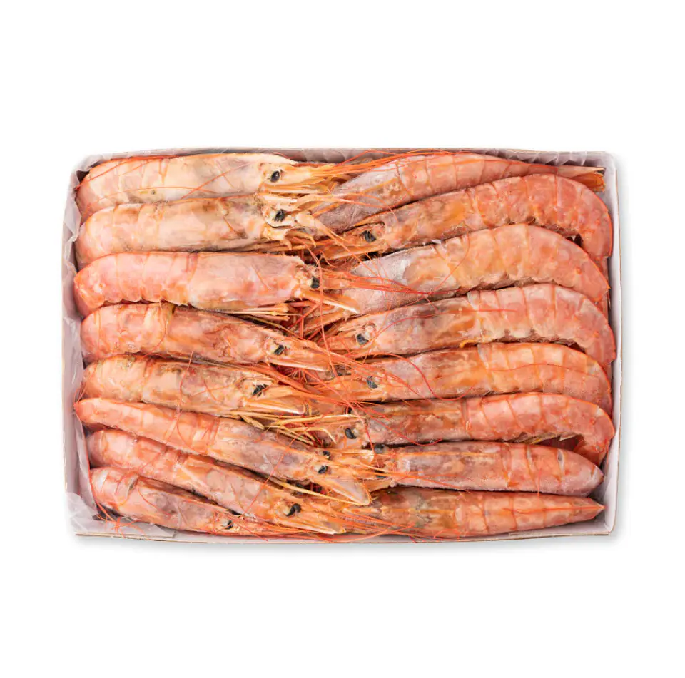 LANGOSTINO PATAGÓNICO ARGENTINO ENTERO CAJA  2