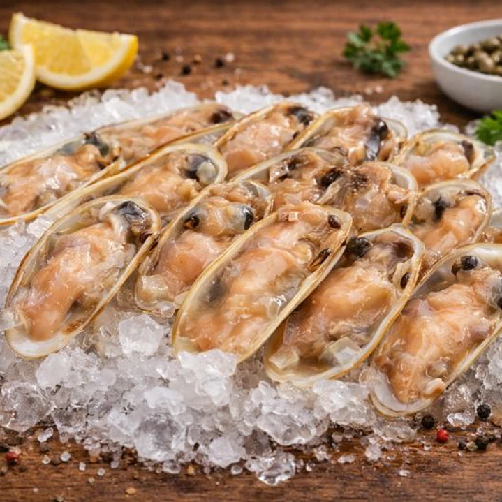 MACHAS MEDIA CONCHA KG