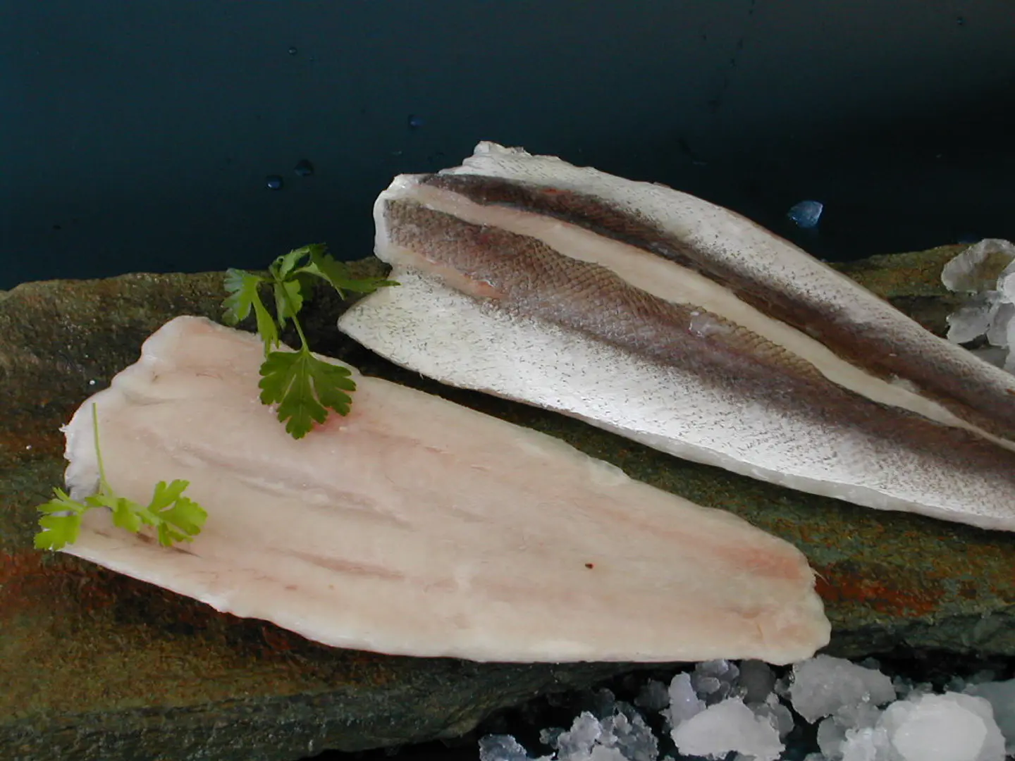  MERLUZA AUSTRAL FILETE UND 1