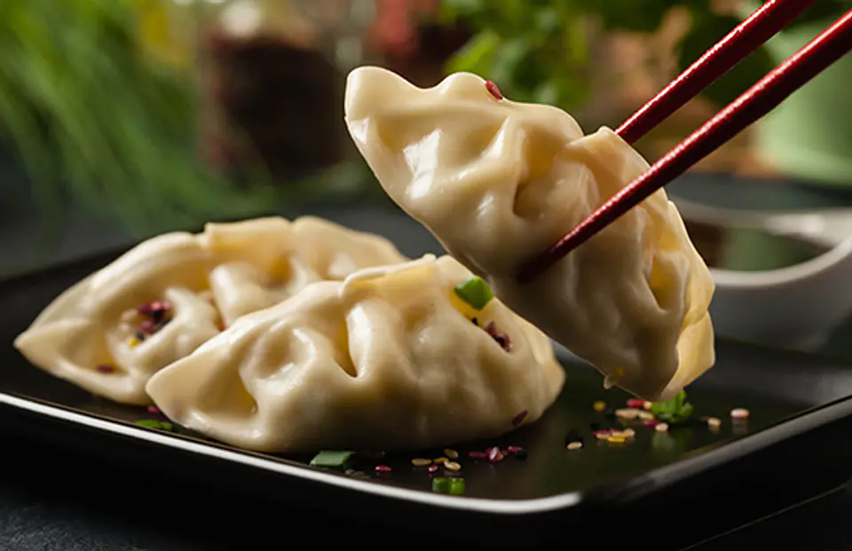 GYOZAS DE POLLO 1
