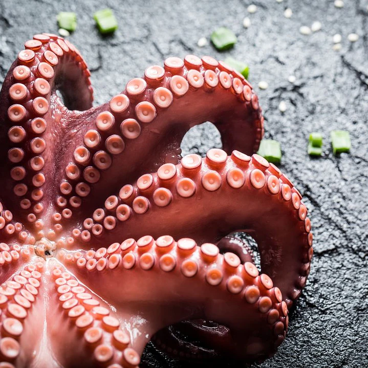 PULPO DEL NORTE COCIDO 230 gr a 260 gr
