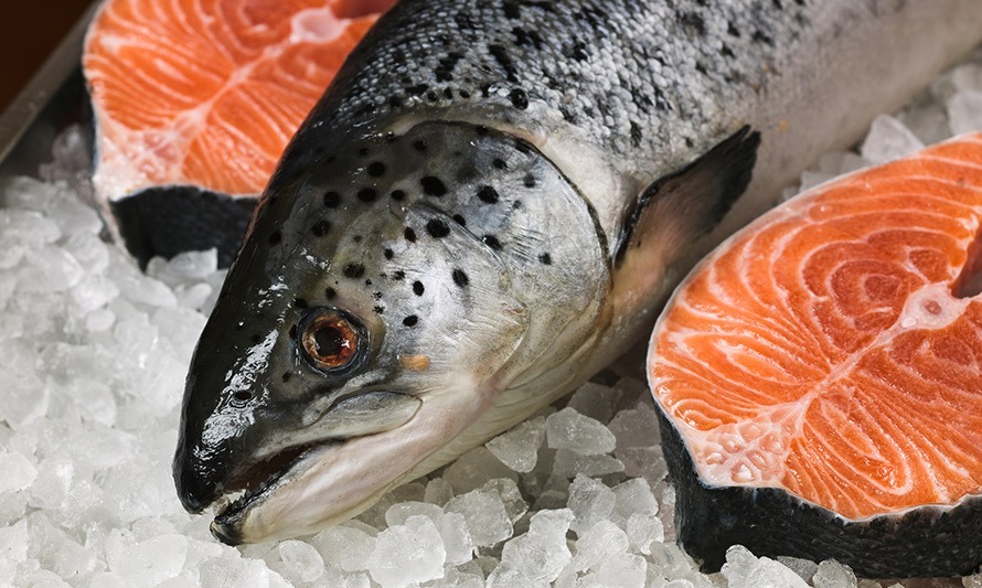 7 preguntas frecuentes sobre el salmón