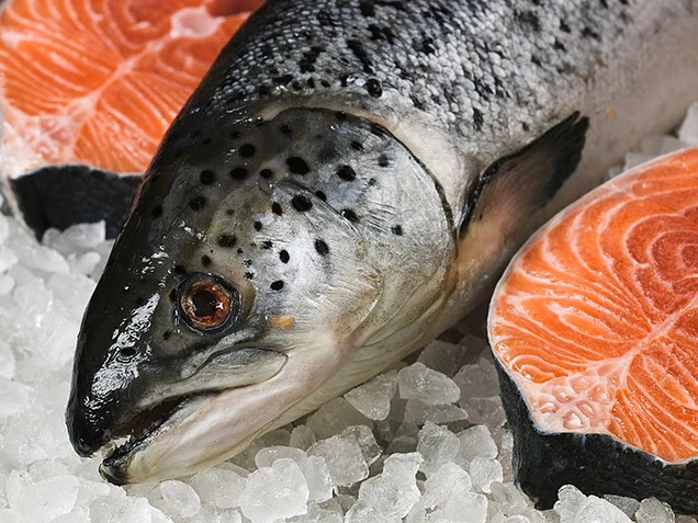 7 preguntas frecuentes sobre el salmón
