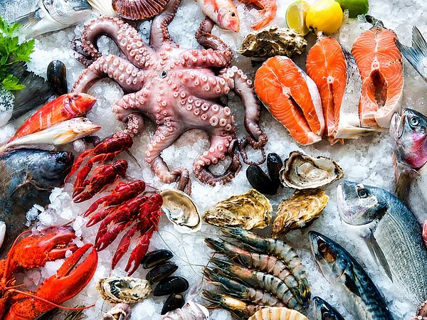 ¿Sabías que una mala descongelación puede arruinar tu pescado? Aprende a hacerlo correctamente...