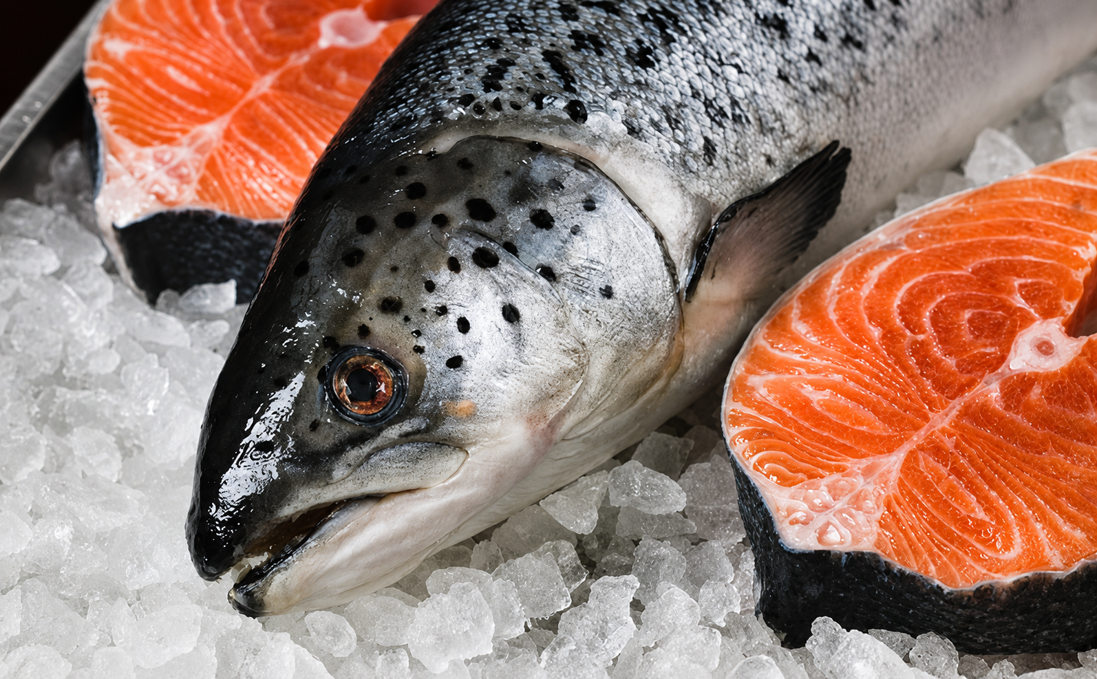 7 preguntas frecuentes sobre el salmón