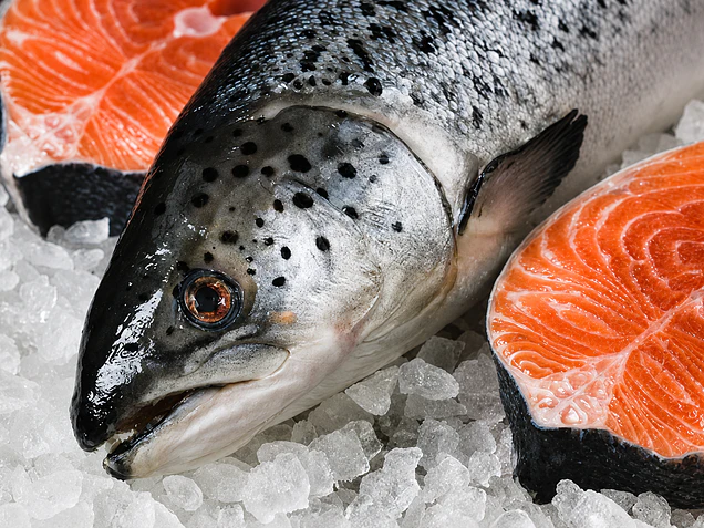 7 preguntas frecuentes sobre el salmón