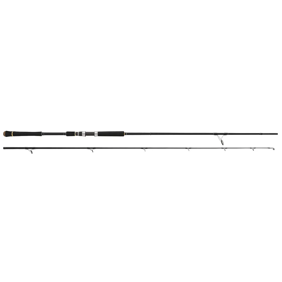Caña Majorcraft Crosride XR1-962MH / 2.93m (40-80g) 1