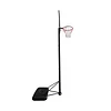Aro de Básquetbol Adulto con Pedestal 