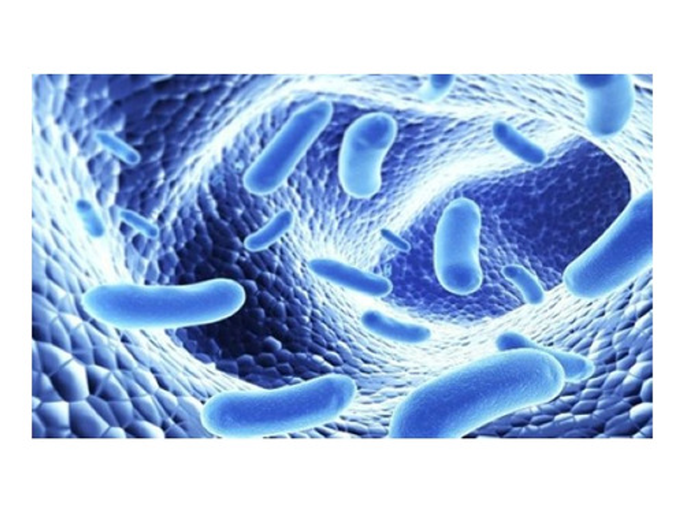 Quemador De Grasa Okrafit Microbiota Probiotix Atrapa Grasas Sabor 120 Cápsulas 2