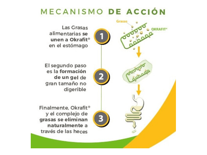 Quemador De Grasa Okrafit Microbiota Probiotix Atrapa Grasas Sabor 120 Cápsulas 8