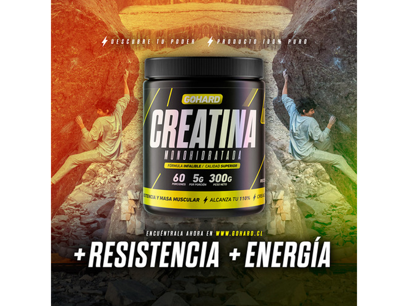 Creatina Monohidratada Gohard 60 Servicios. Fitness Sabor Sin Sabor / 300 Grs 7
