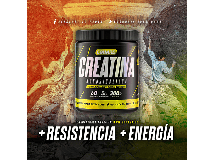 Creatina Monohidratada Gohard 60 Servicios. Fitness Sabor Sin Sabor / 300 Grs 7