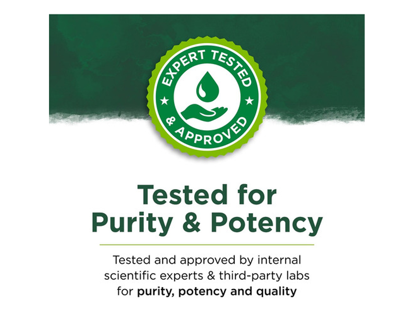 L-glutamine 500mg - 60 Veggie Capsules - Swanson Sabor Sin Sabor 2