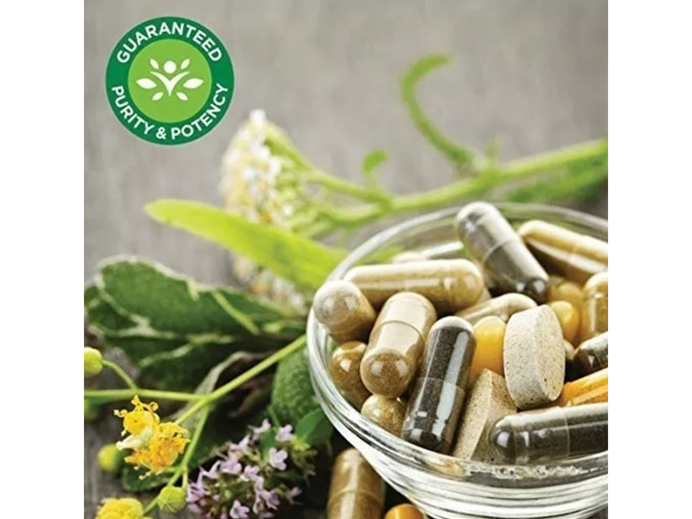 Acido Caprilico Swanson 600mg Candida Albicans 7