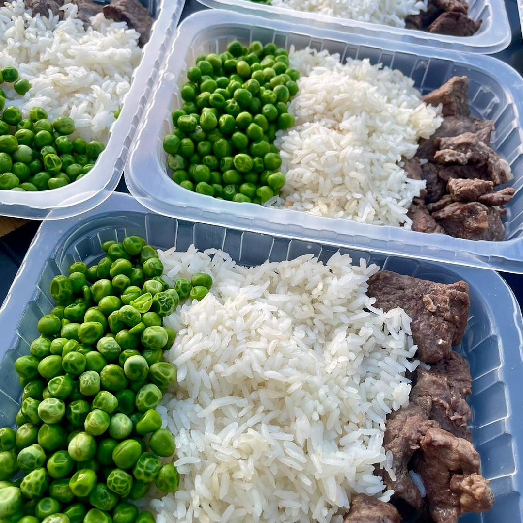 10 Platos Congelados PRO, MASTER Y PLUS+ 2