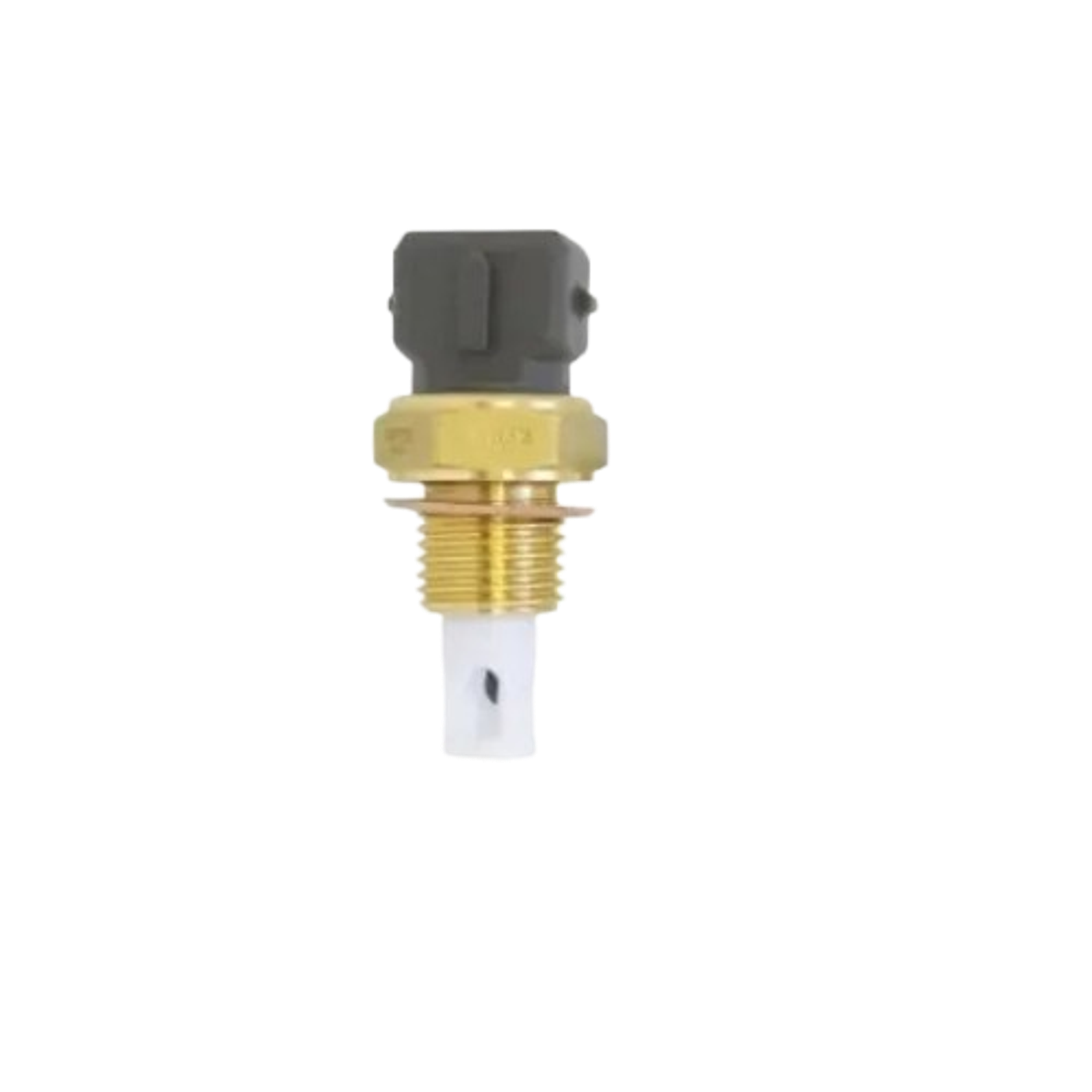 Sensor de Temperatura de Aire (IAT) - MTE-Thomson 2