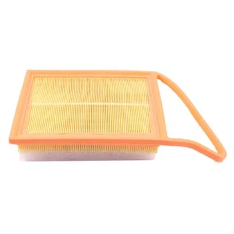 Filtro de Aire - Peugeot/Citroën 1.6 HDI - DV6
