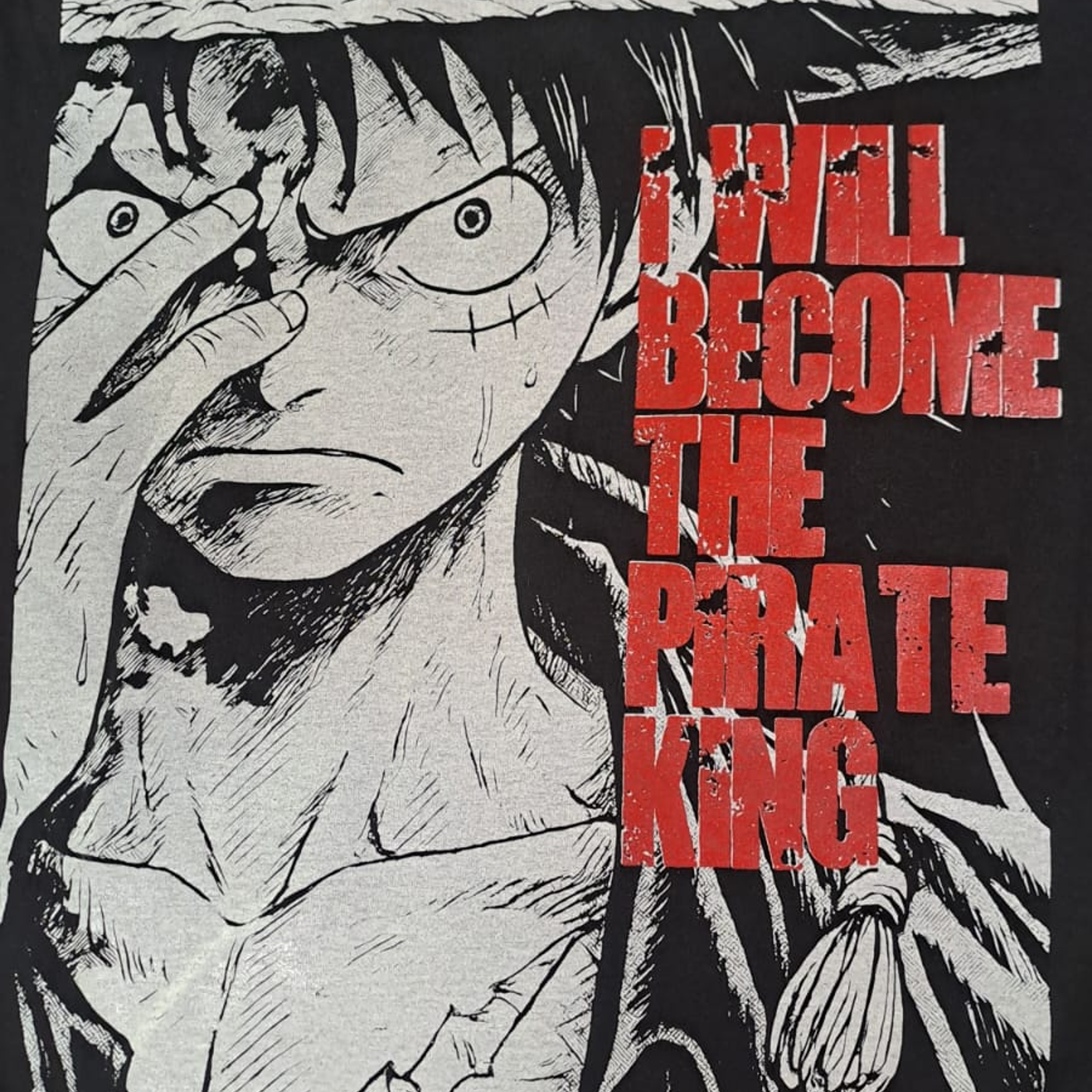 LUFFY REY DE LOS PIRATAS 2