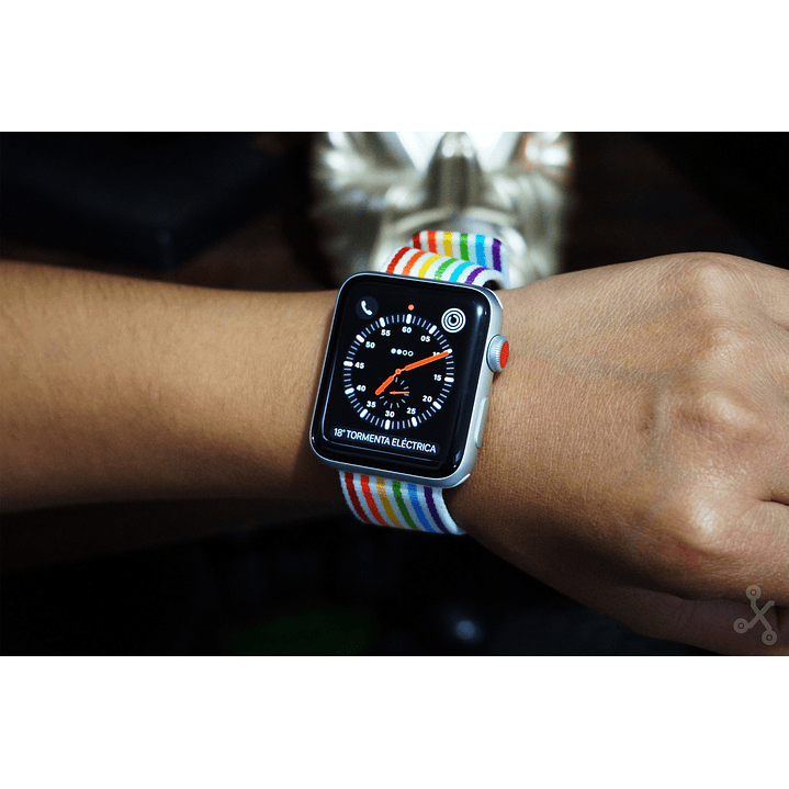 Cambio de bateria Apple Watch Serie 3 42mm 1