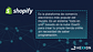 Shopify + Laudus - Miniatura 2