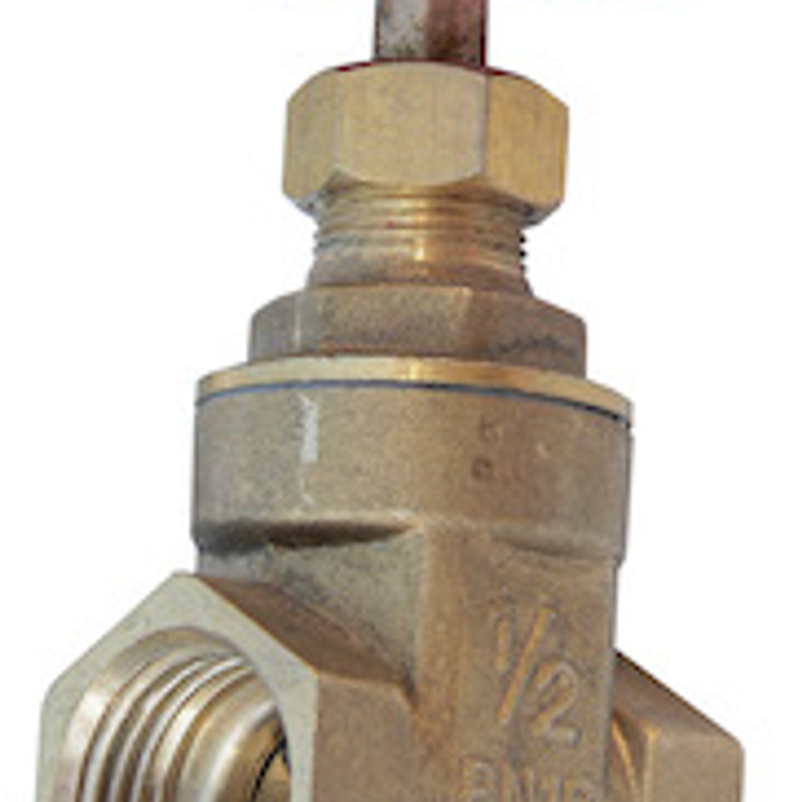 Válvula Compuerta 1/2