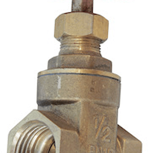 Válvula Compuerta 1/2