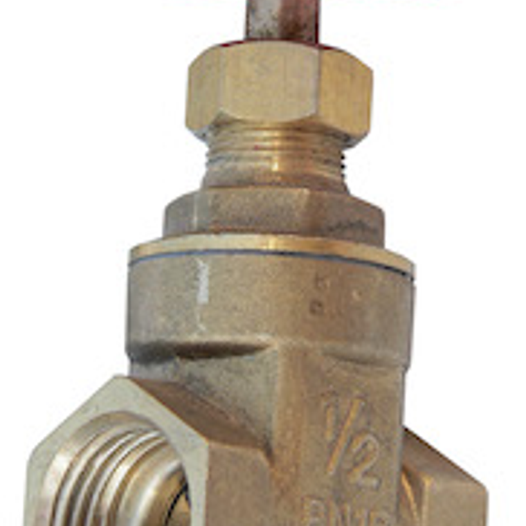 Válvula Compuerta 1/2