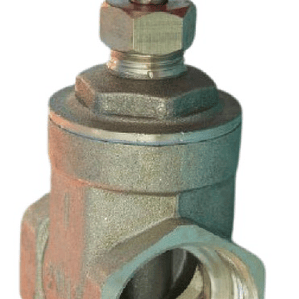 Válvula Compuerta 1