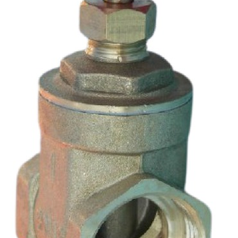 Válvula Compuerta 1