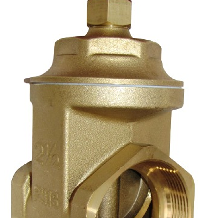 Válvula Compuerta 2.1/2