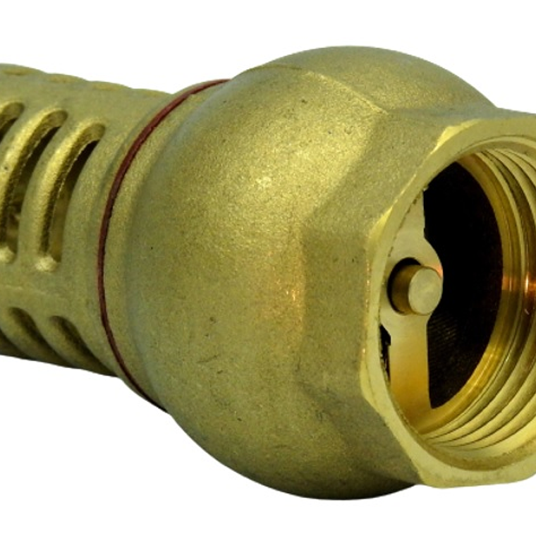 Válvula Fondo-Pie Rejilla Metálica 1