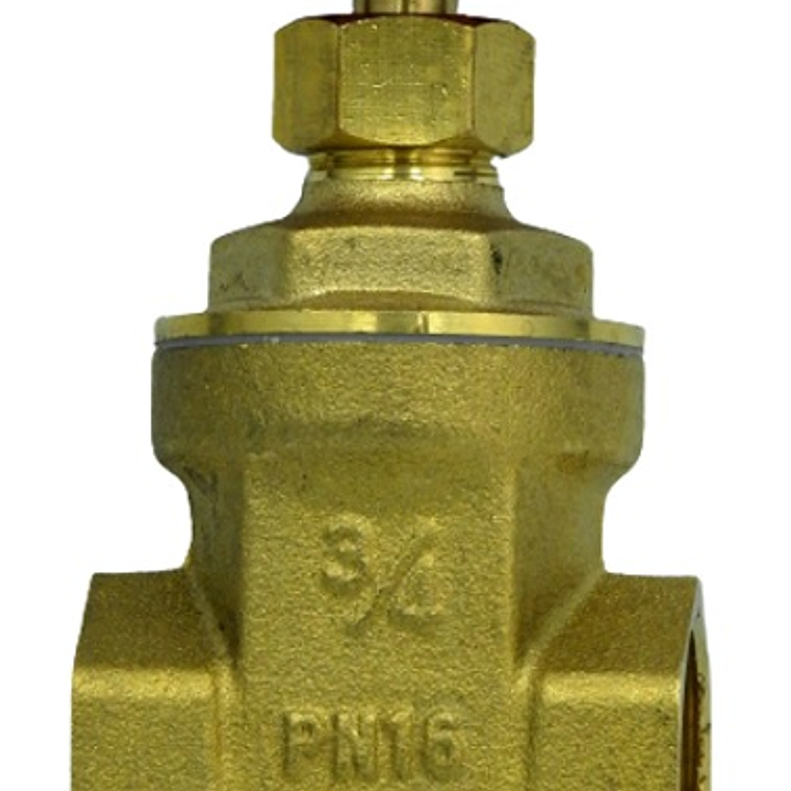 Válvula Compuerta 3/4