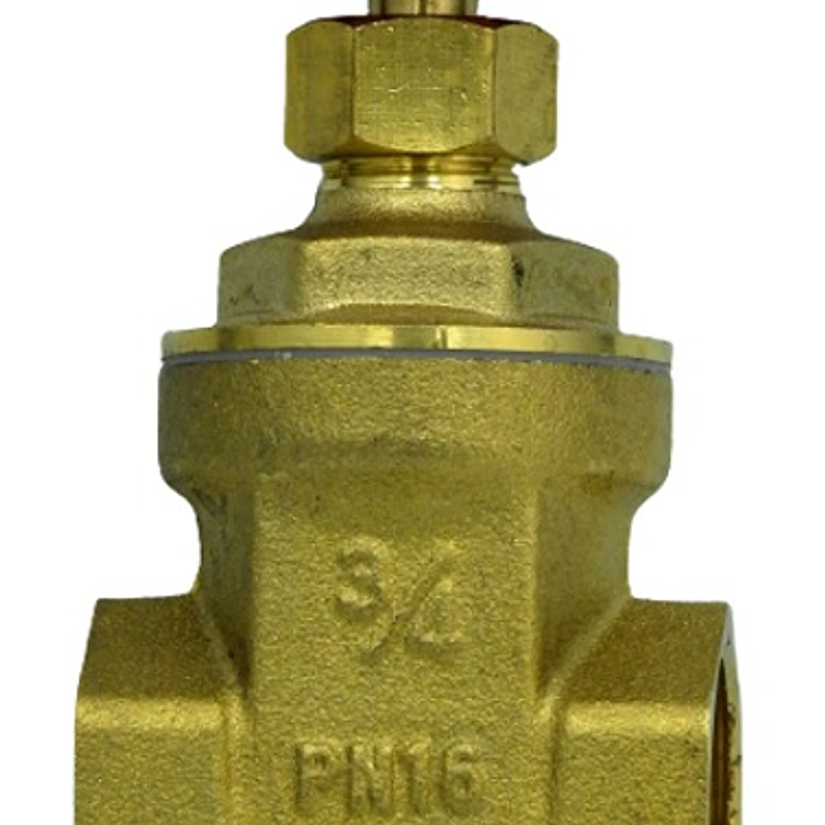 Válvula Compuerta 3/4