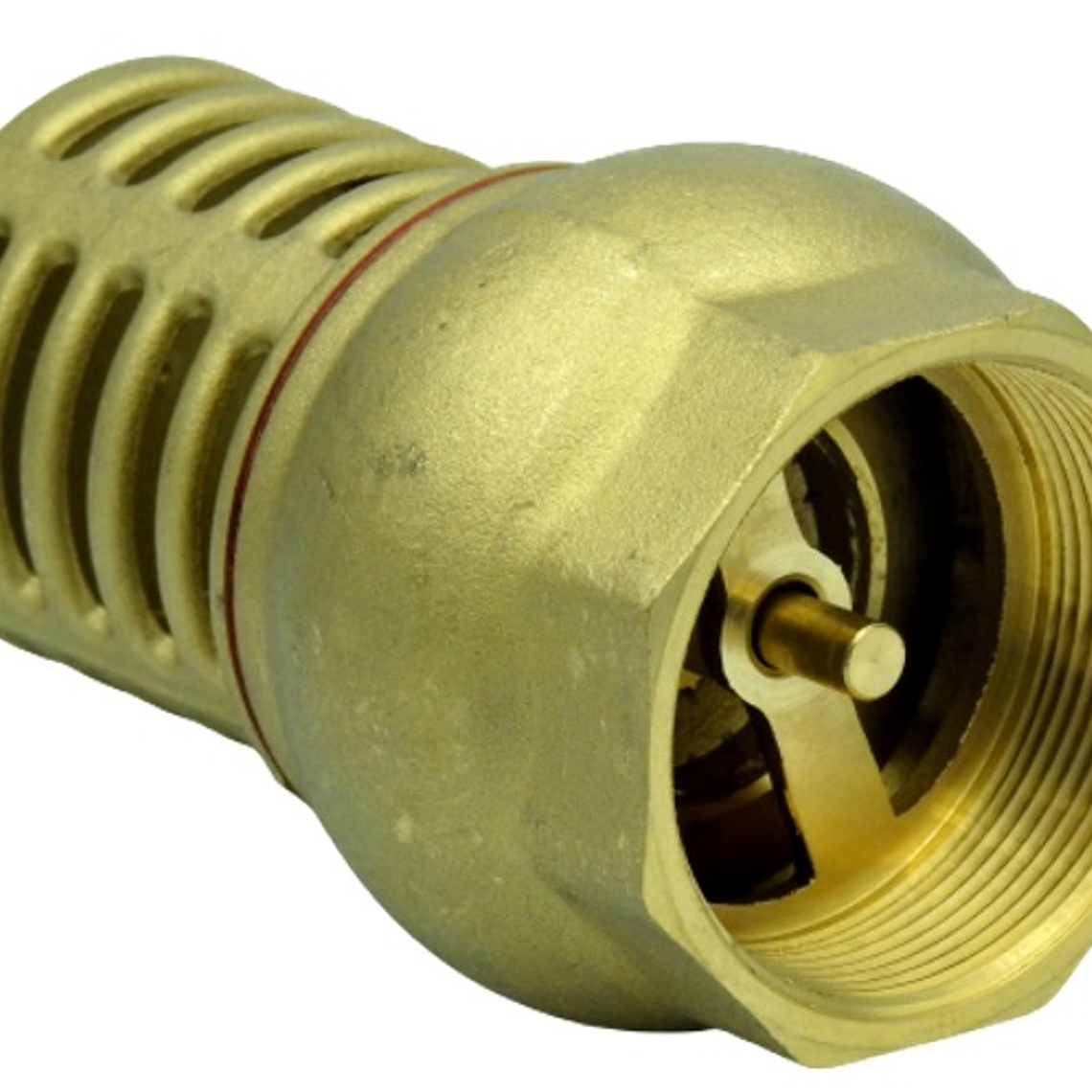 Válvula Fondo-Pie Rejilla Metálica 2