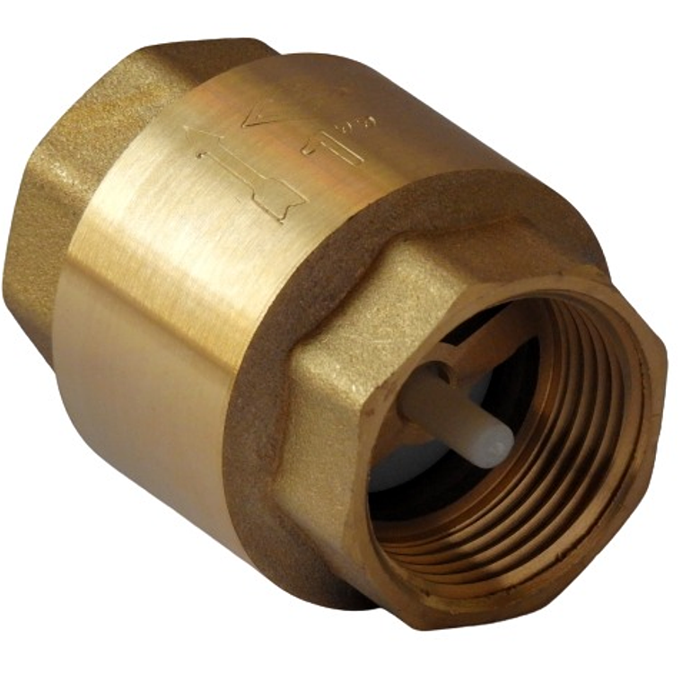 Válvula Retención Vertical 1