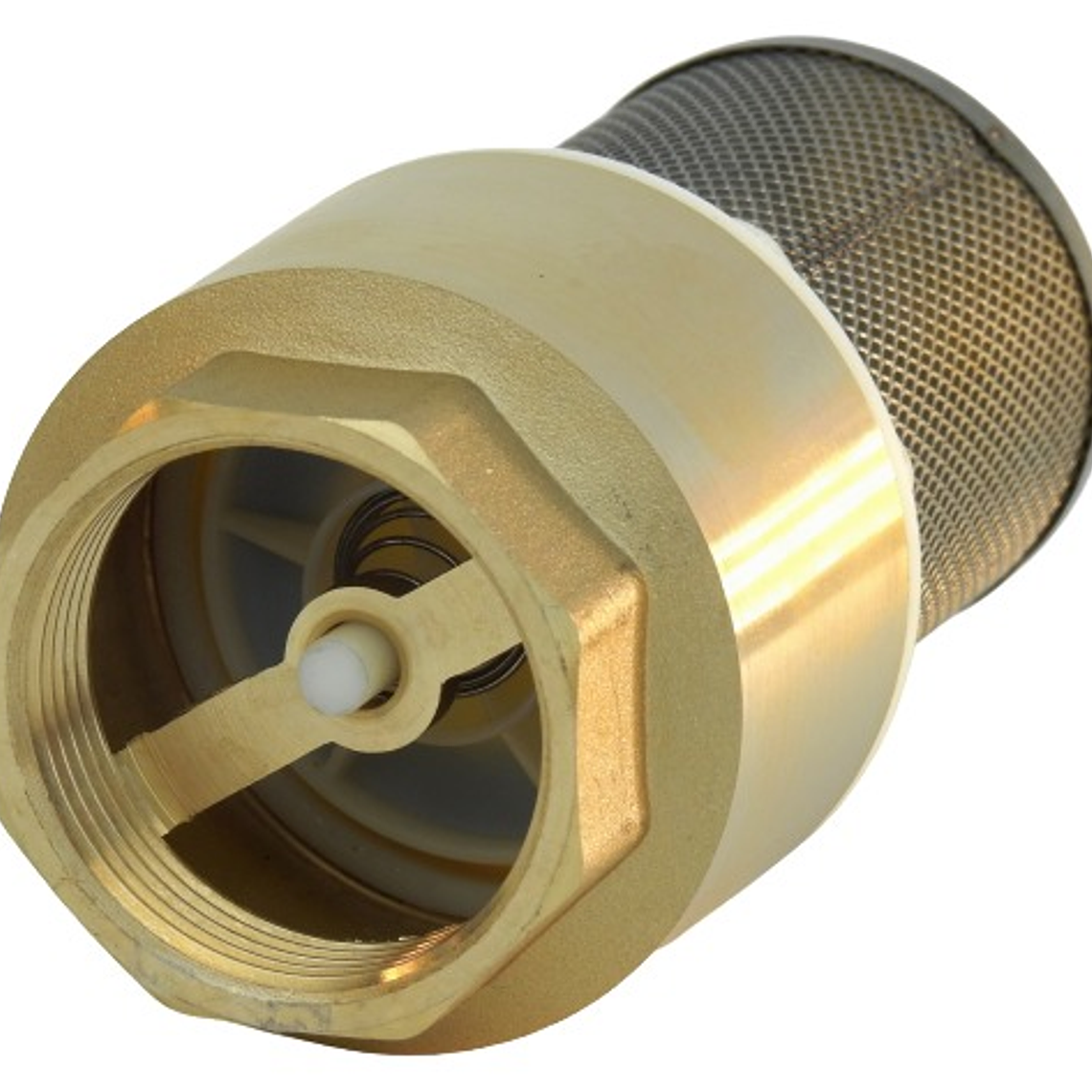 Válvula Fondo Filtro Acero Inox.1.1/2