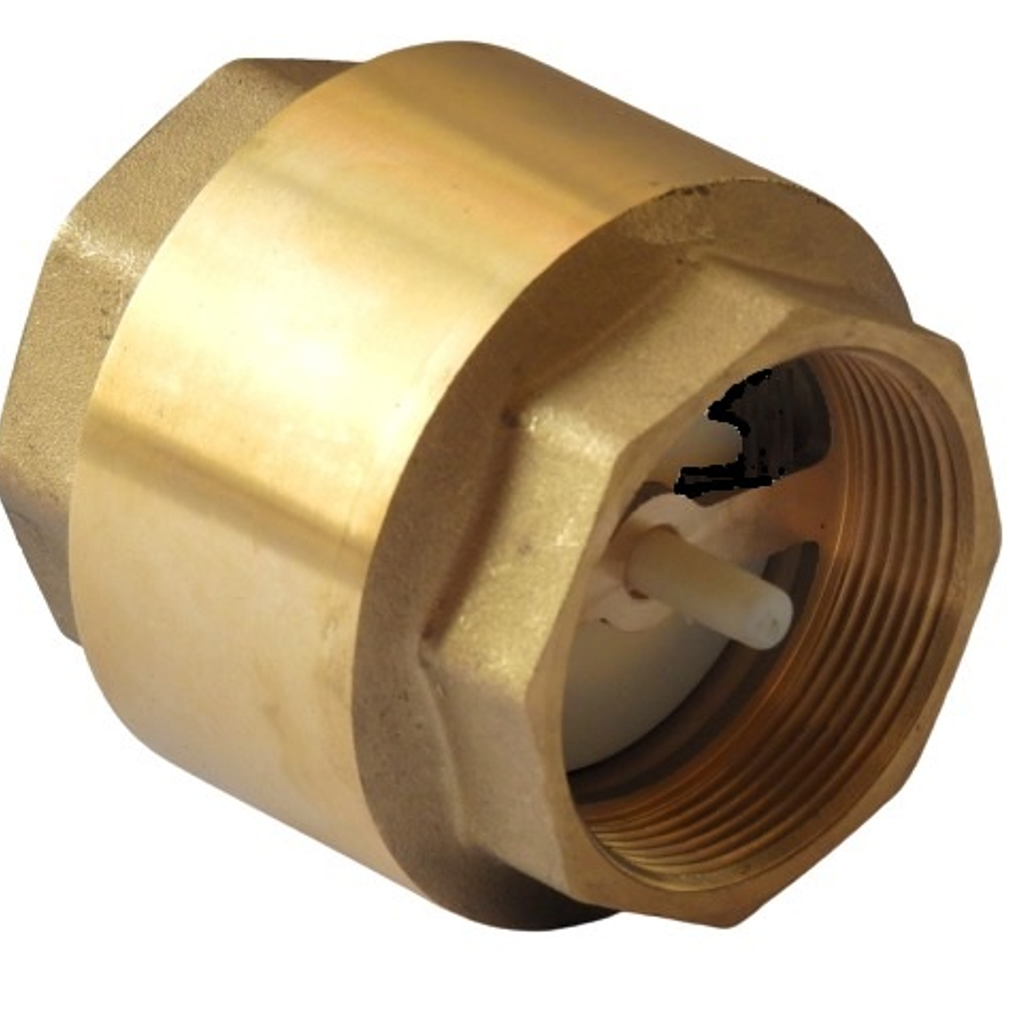 Válvula Retención Vertical 2