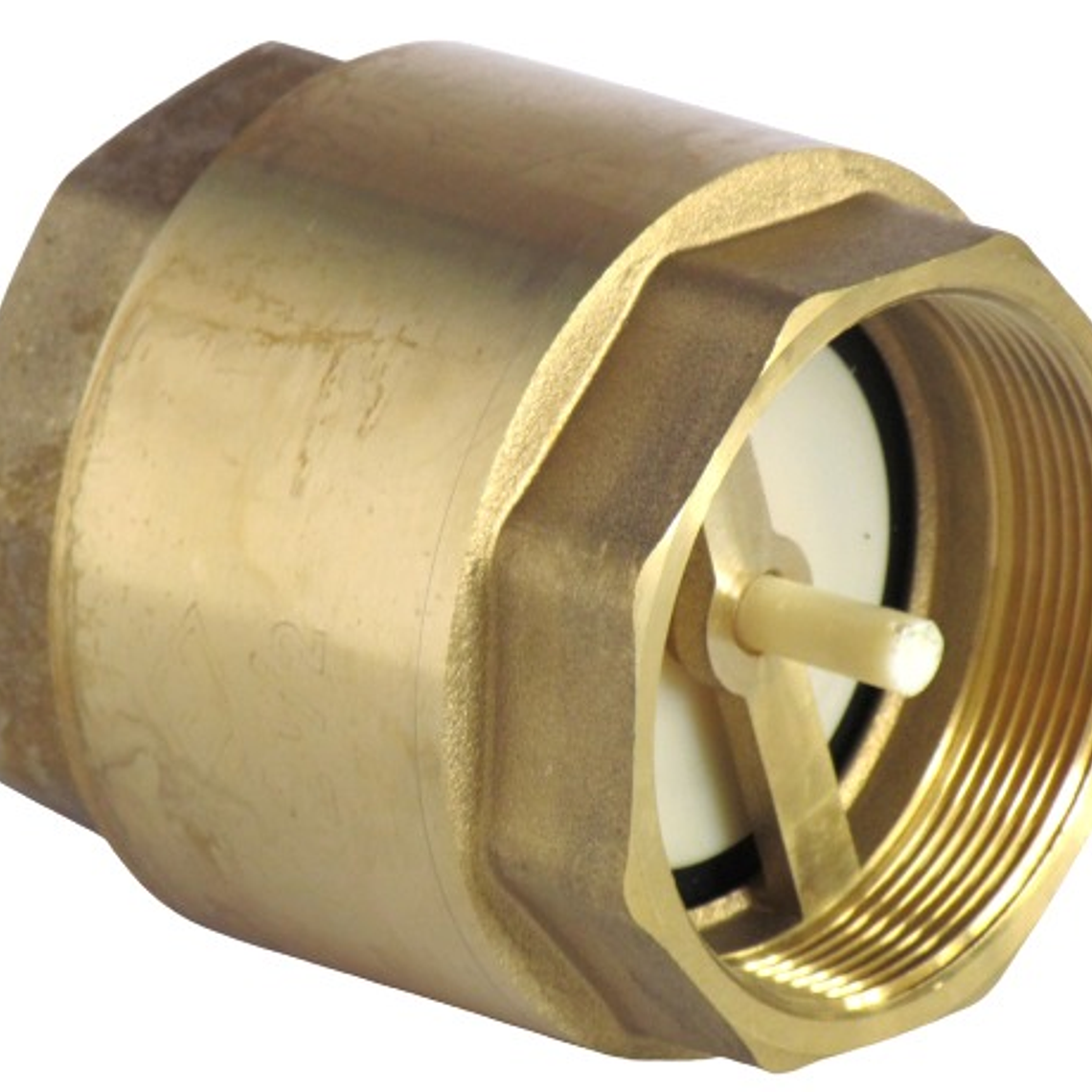 Válvula Retención Vertical 2.1/2