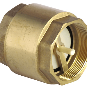 Válvula Retención Vertical 2.1/2