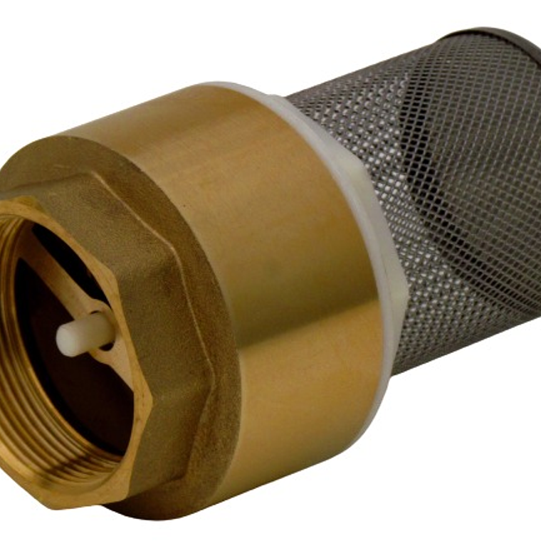 Válvula Fondo Filtro Acero Inox.2