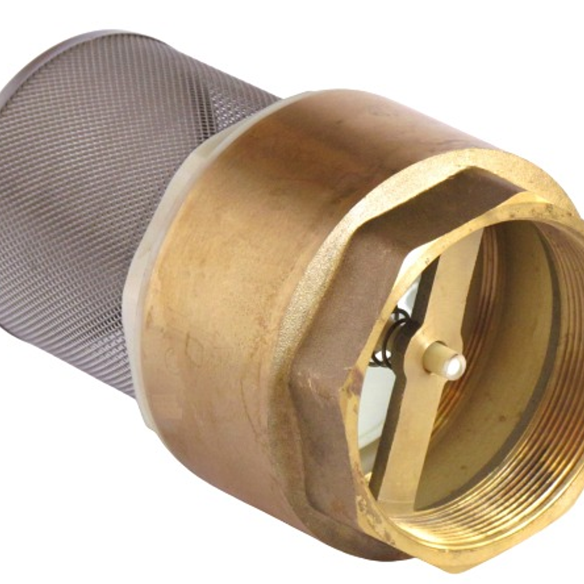 Válvula Fondo Filtro Acero Inox.3