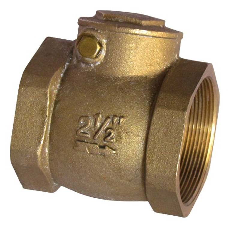 Válvula Retención Chapaleta 2.1/2