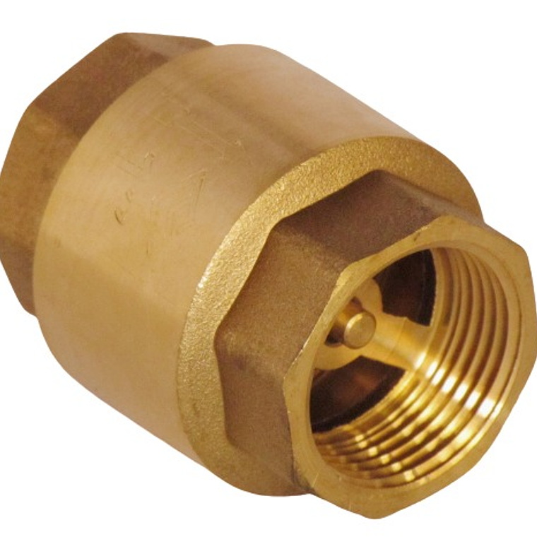 Válvula Retención Vertical Pesada 1