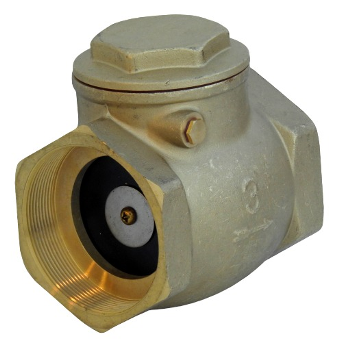 Válvula Retención Chapaleta 3