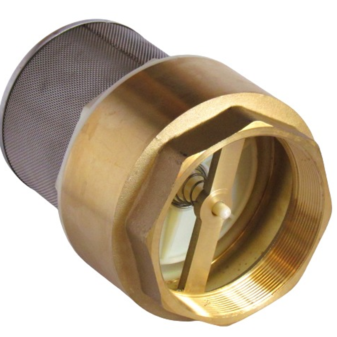 Válvula Fondo Filtro Acero Inox.4