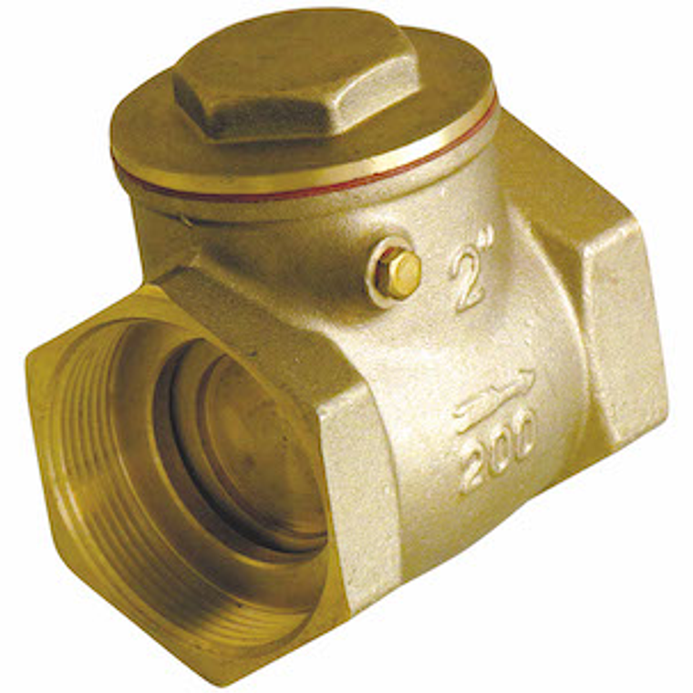 Válvula Retención Chapaleta 2