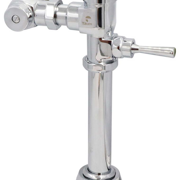 Fluxómetro Palanca Enorme 1