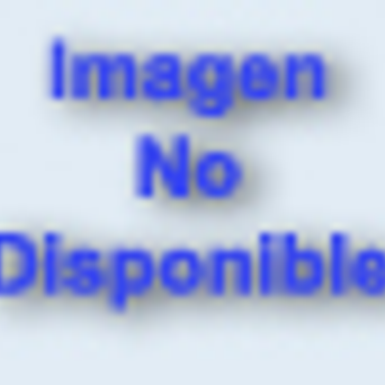 Resistencia Calefactora para Secador 160600100 1