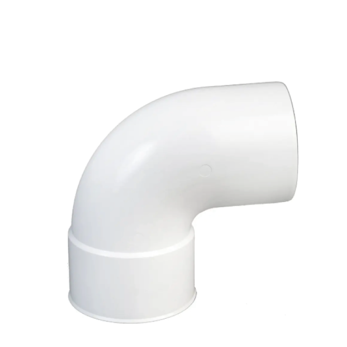 CODO MACHO – HEMBRA 1