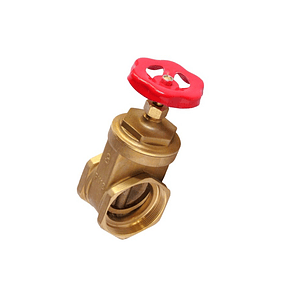 Válvula Compuerta 3